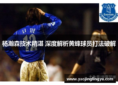 杨瀚森技术精湛 深度解析黄蜂球员打法破解